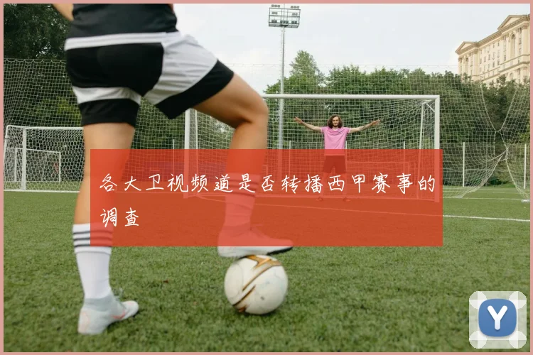 各大卫视频道是否转播西甲赛事的调查